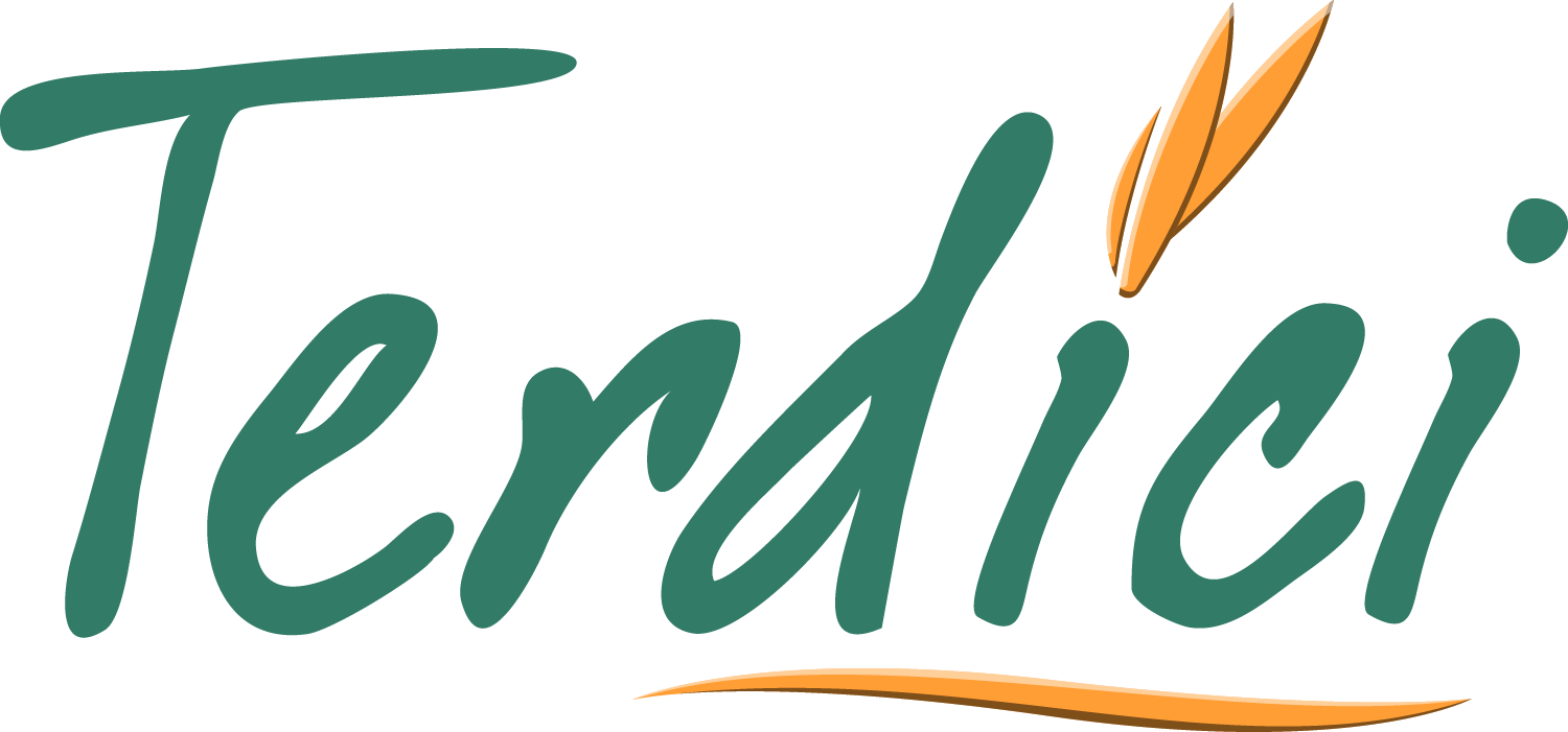 logo TERDICI